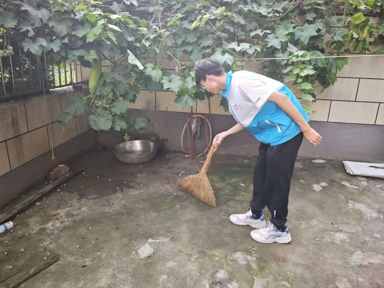 鳤