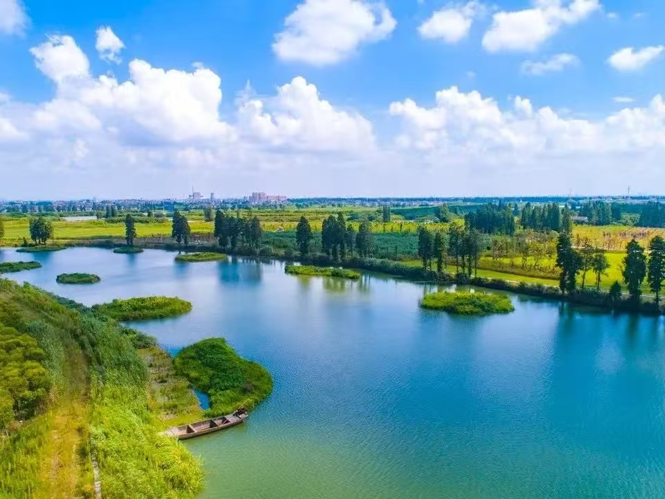 ���м�|һ���ף�������干���´��
