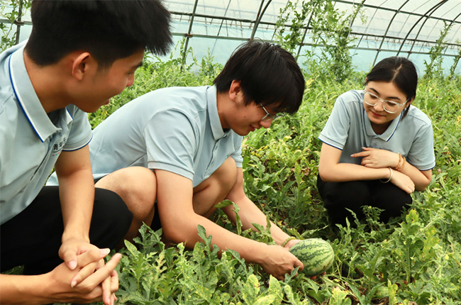 �����������ƽ������ �ƴ��ǻ���干����ͼ��
